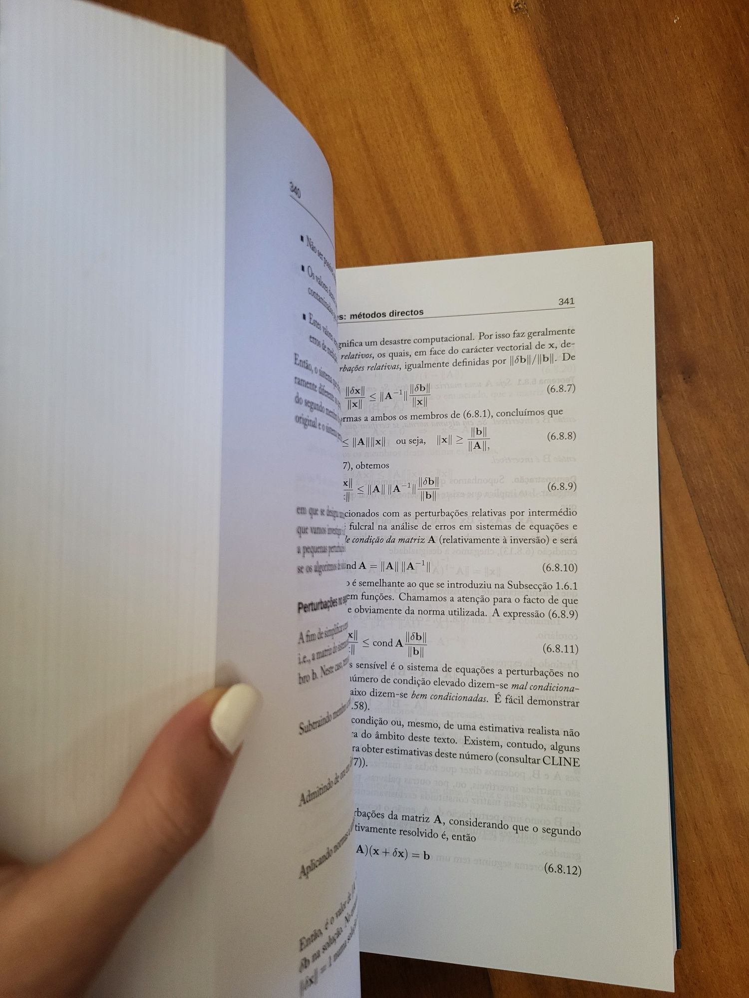 Livro | "Métodos Numéricos", de Heitor Pina