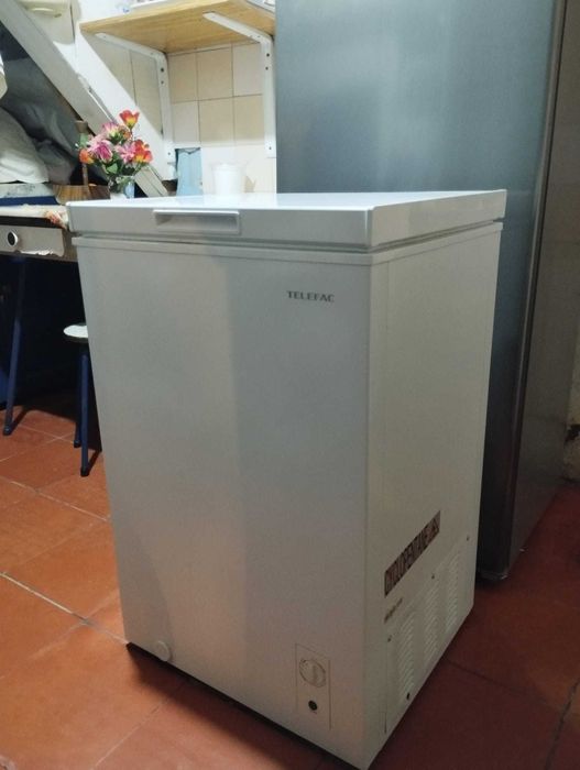 Arca congeladora 100L marca Telefac