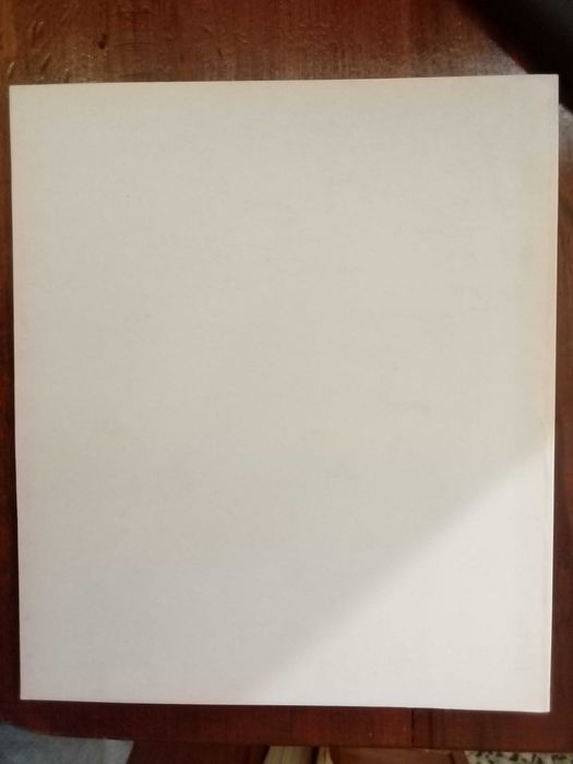 Pedro Cabrita Reis - Contra a claridade