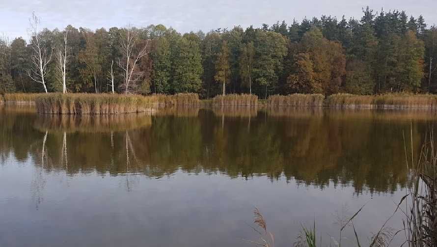 Продаю участок 2 га, Забуянье, Собственник
