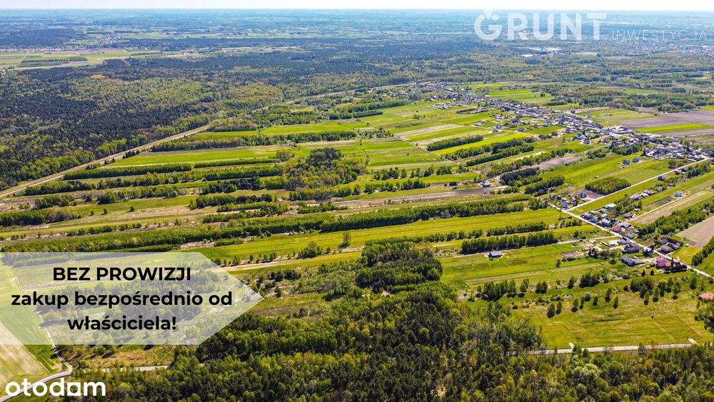 Pakiet działek pod lasem