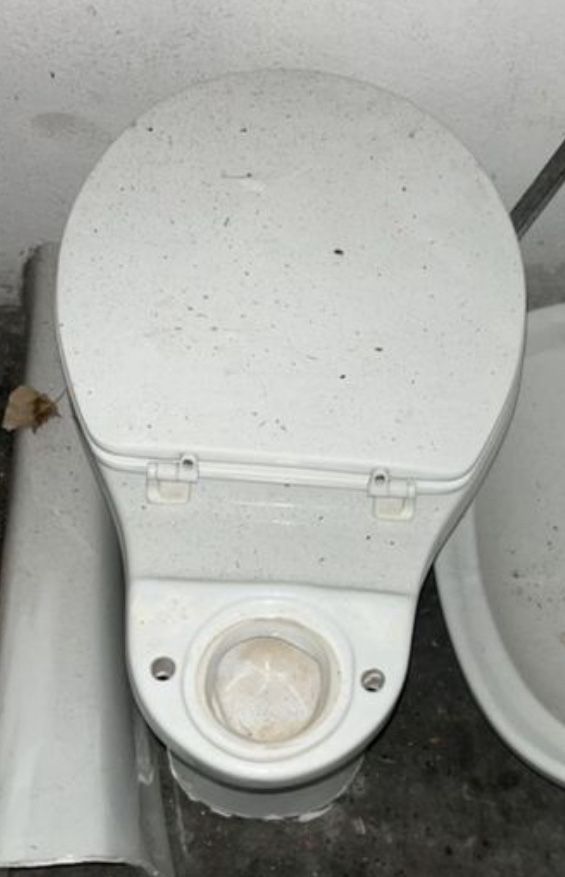 Dou sanita/vaso sanitário Madalena