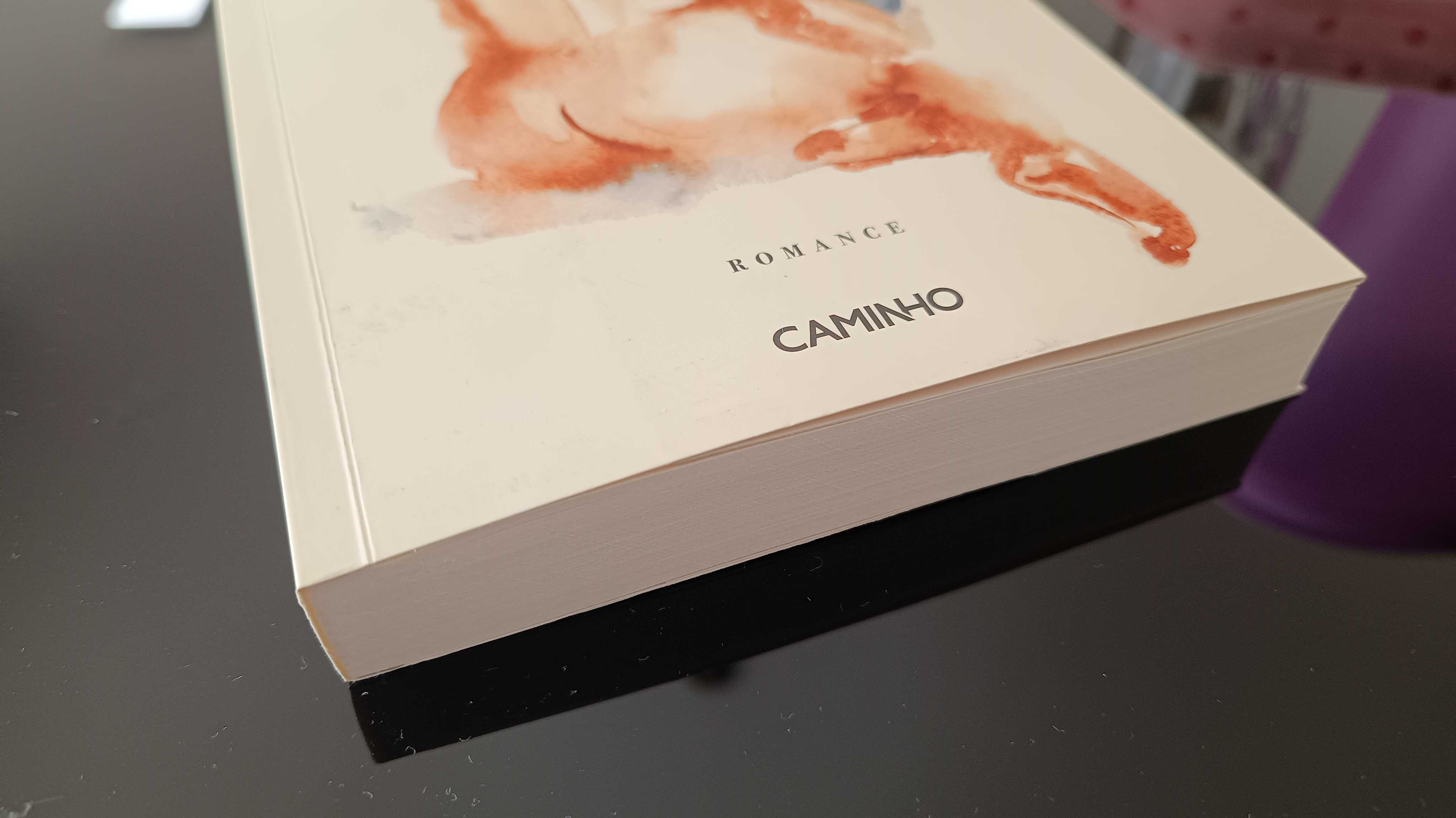Livro "A gorda" de Isabela Figueiredo