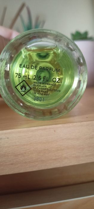 Perfume Aqua Alegoria Guerlain