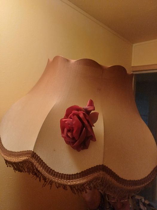 sprzedam 2 abażury cena 70i40