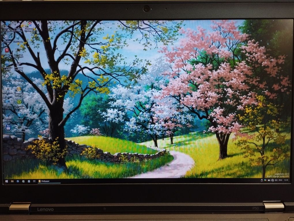 Lenovo ThinkPad P50 FHD i7-6820HQ/16gb DDR4/SSD 256gb/NVidia m1000m