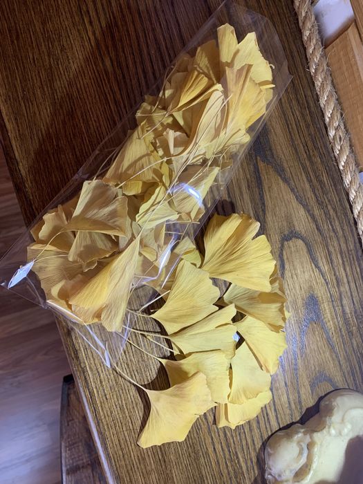 Листя Гінкго Білоба