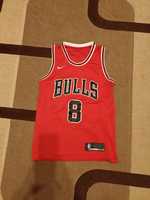 Майка Chicago Bulls Nike джерси