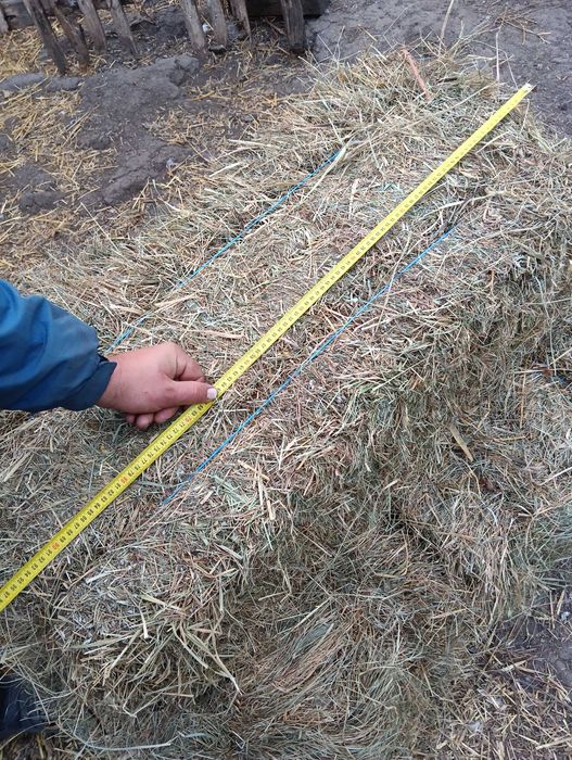 Продам тюки сіна різнотрав'я
