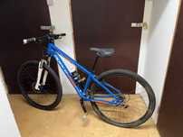 Bicicleta Agece Sierra