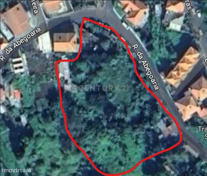 Terreno com casa em ruínas