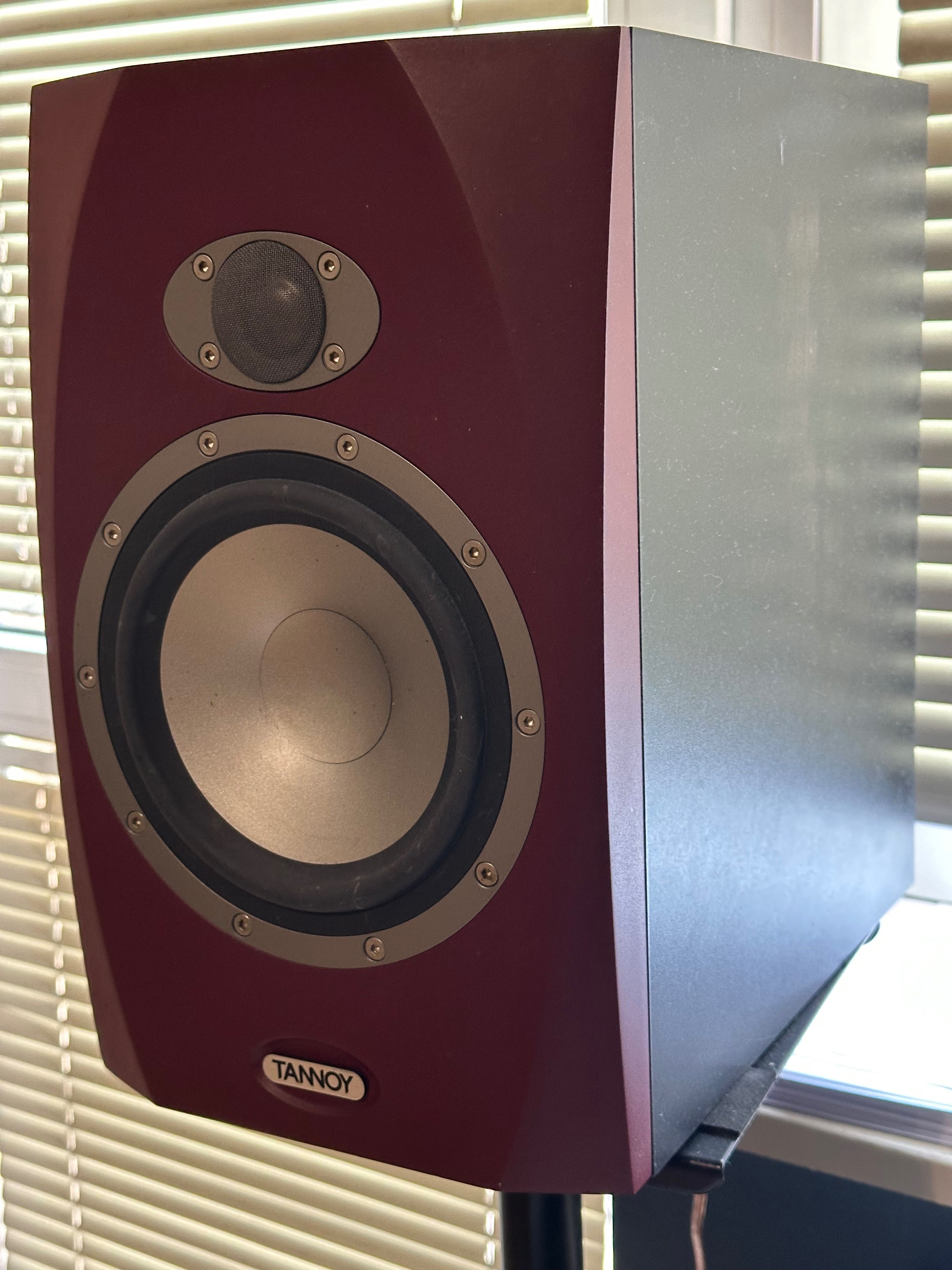 Monitory studyjne Tannoy Reveal 6p (RESERWACJA]