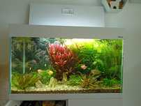 Akwarium optiset 125 litrów