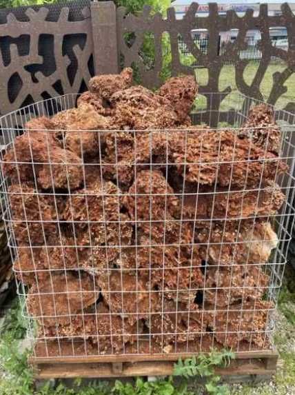 Koralowiec Red Spaghetti Kamień Naturalny do Akwarium Terrarium Skała