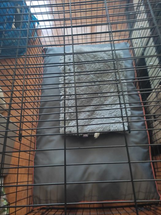 Jaula cão crate XXL