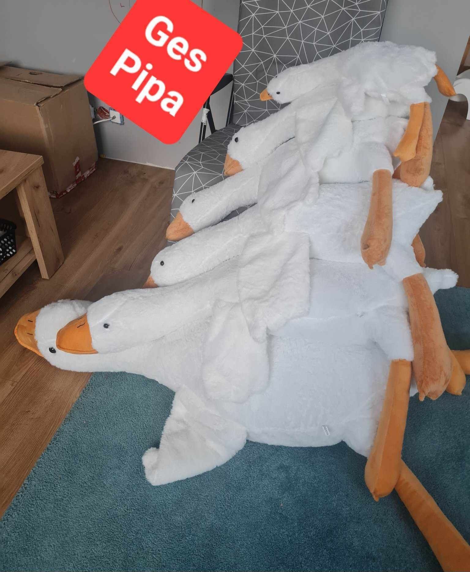 Gęś pipa 50cm + brelok Gęś pipa