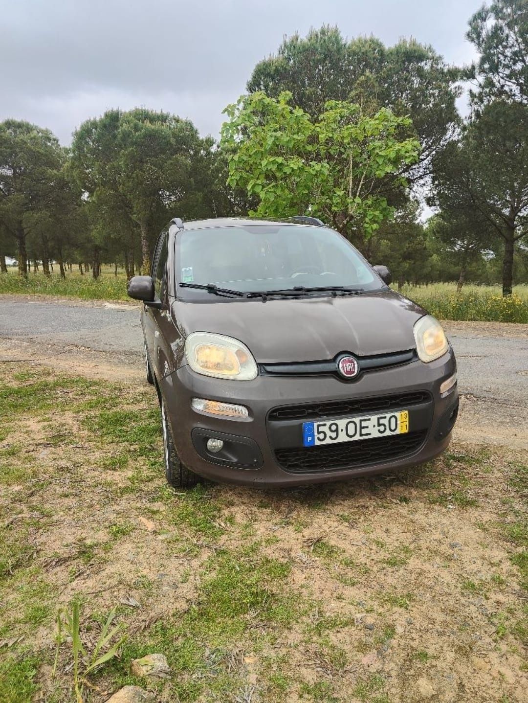 Fiat panda bi fuel (origem)- Nacional
