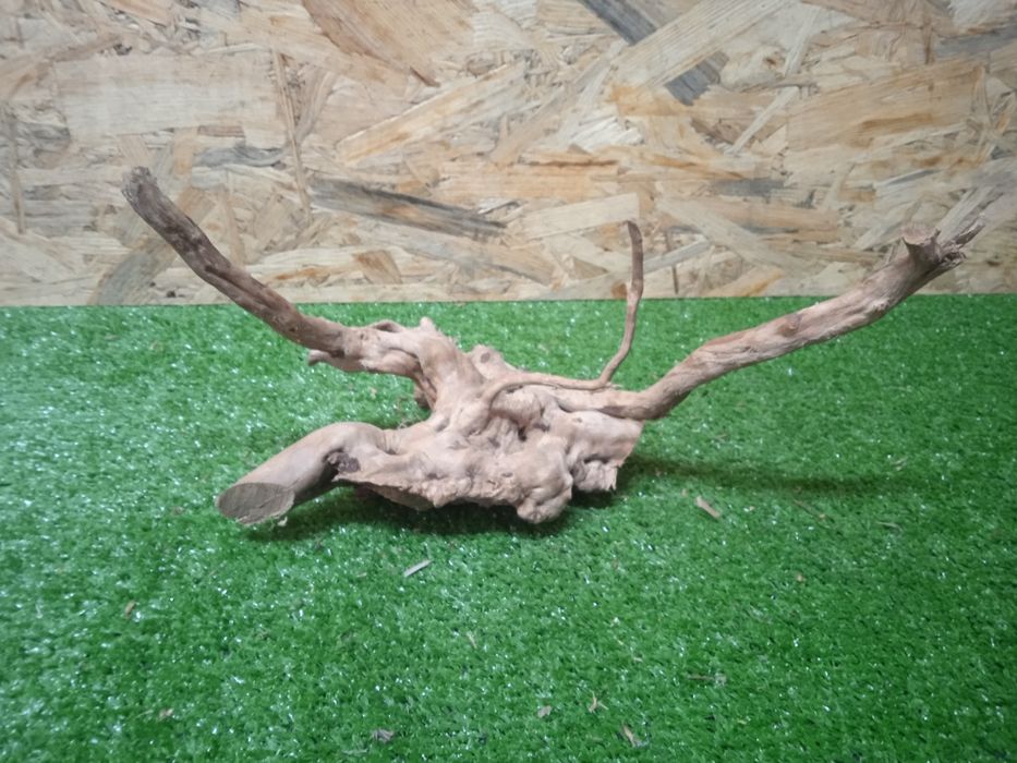 Korzeń do akwarium Red Moore Wood nr 268 o wymiarach 27/24/11