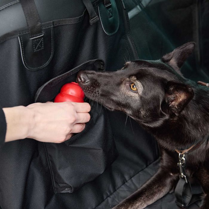 mata do samochodu dla psa