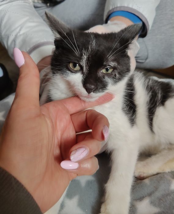 Kochany Shrek błaga o szansę i dom..