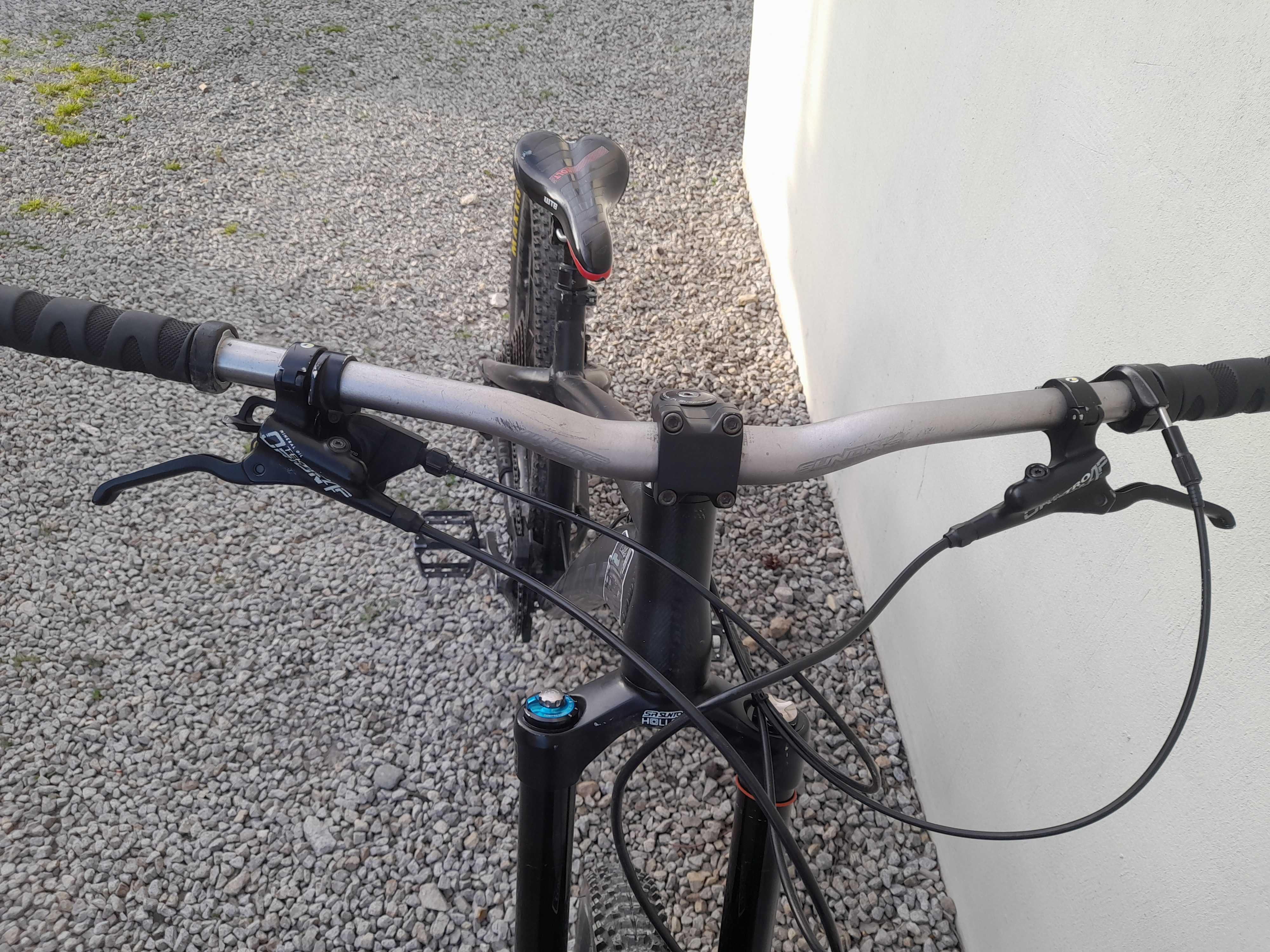 Dartmoor hornet 2020