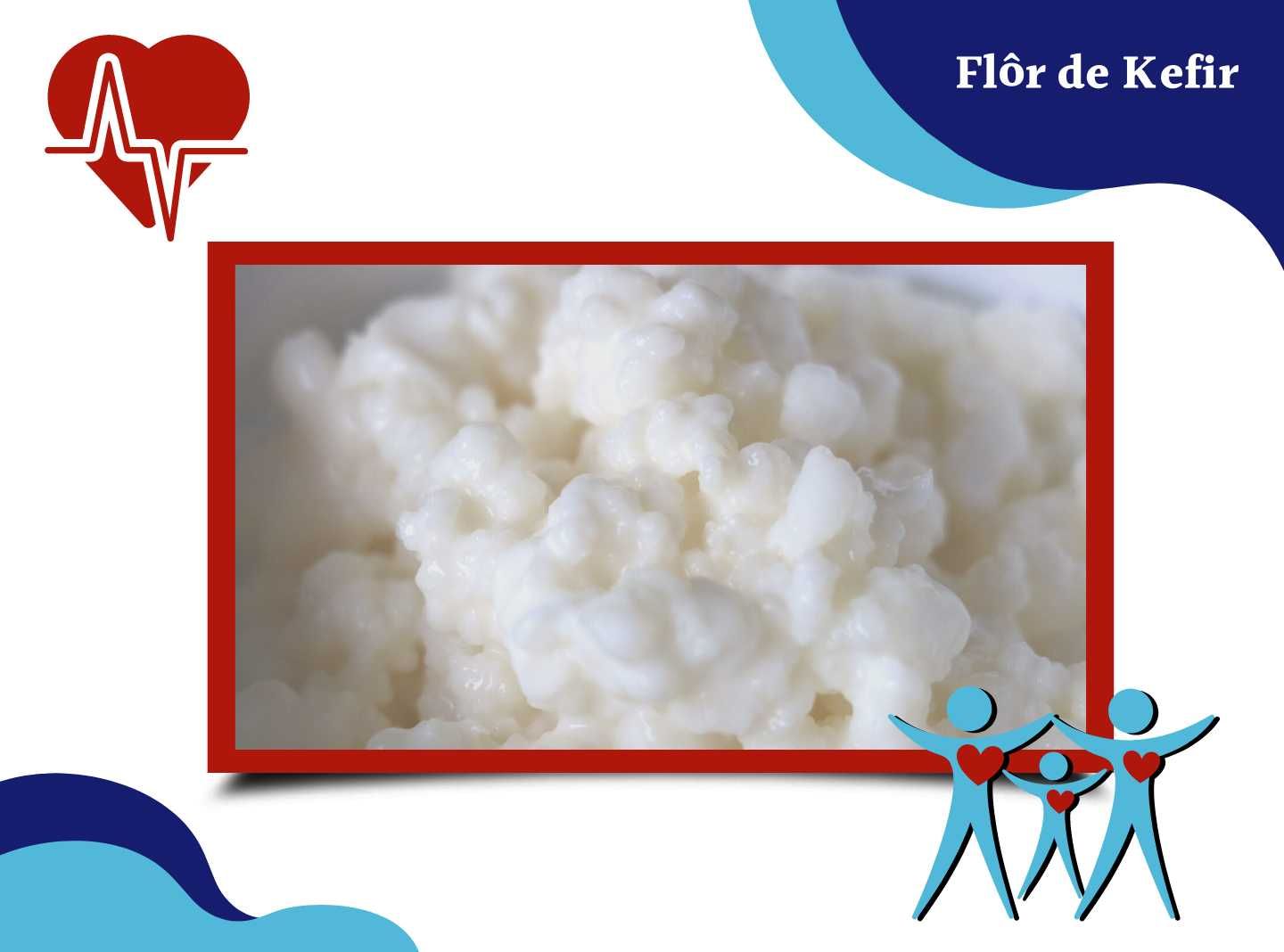 Kefir: o Súper Probiótico que melhora a sua saúde!