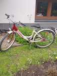 Sprzedam rower centano