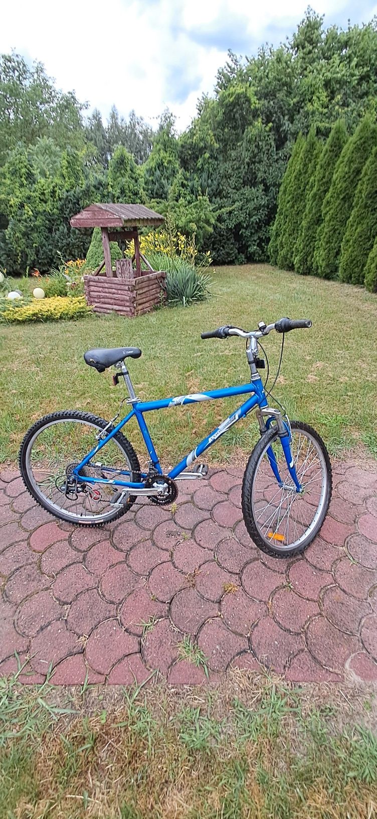 Rower Longway 26"