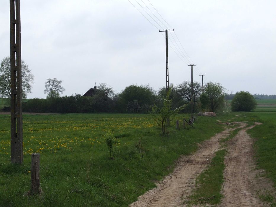 Gospodarstwo rolne 2,5ha Hruszew gm. Platerów pow. Łosice