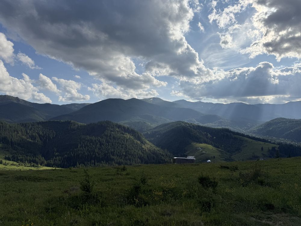 Перший ряд в кінотеатрі .