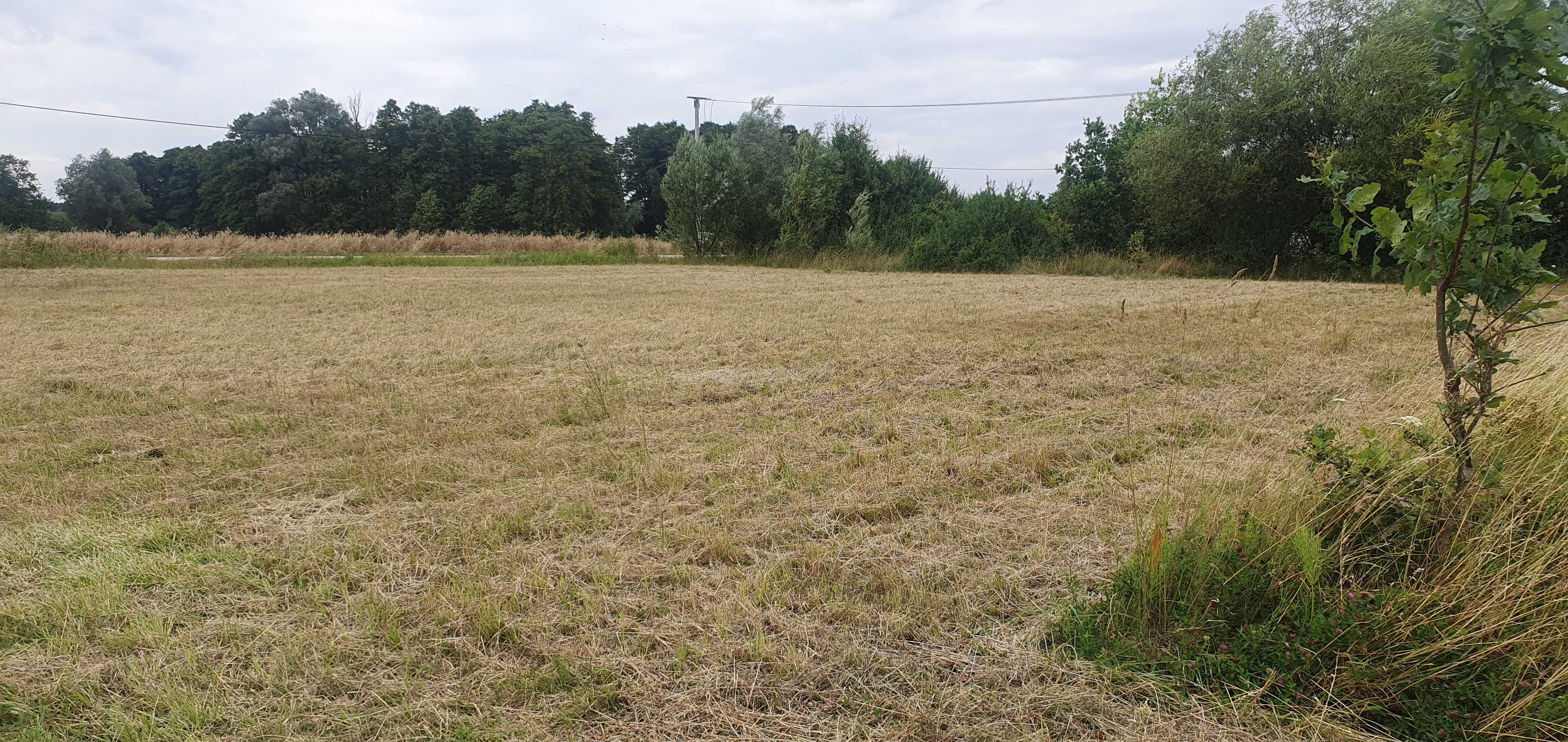 Sprzedam działkę 1200m2/miejscowość Łosewo/gmina Pokrzywnica/Pułtusk