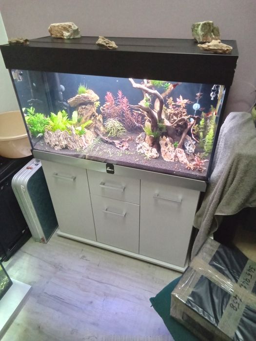 Akwarium z pokrywa aluminiowa 200L 100x40x50