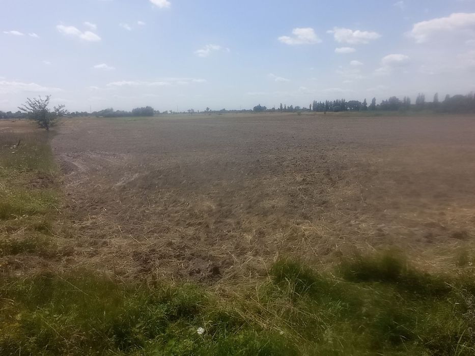 Продам участок под строительство с. Сеньковка