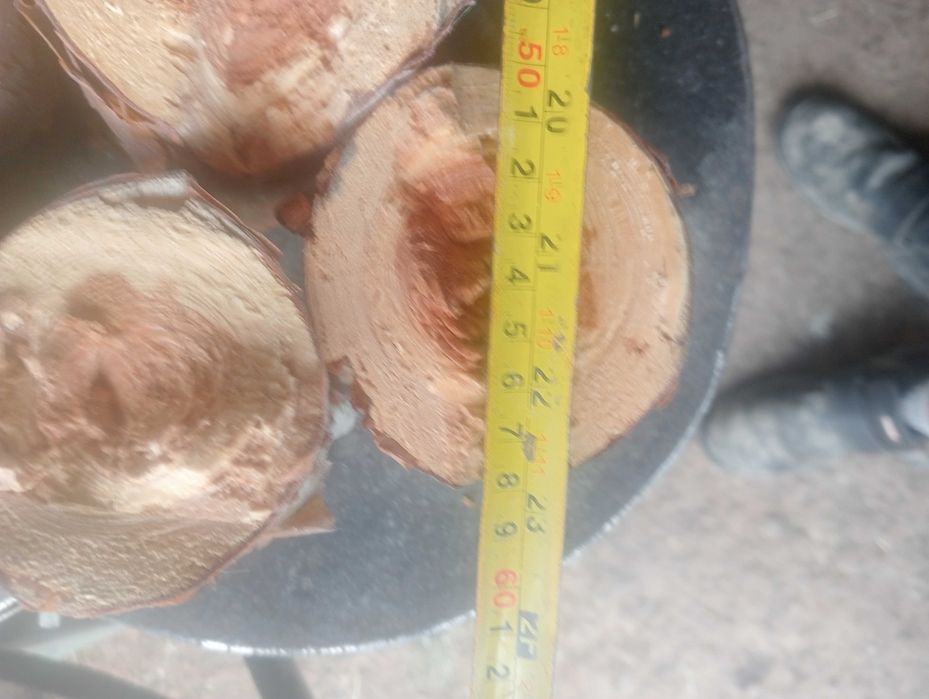 Oddam drewno opalowe