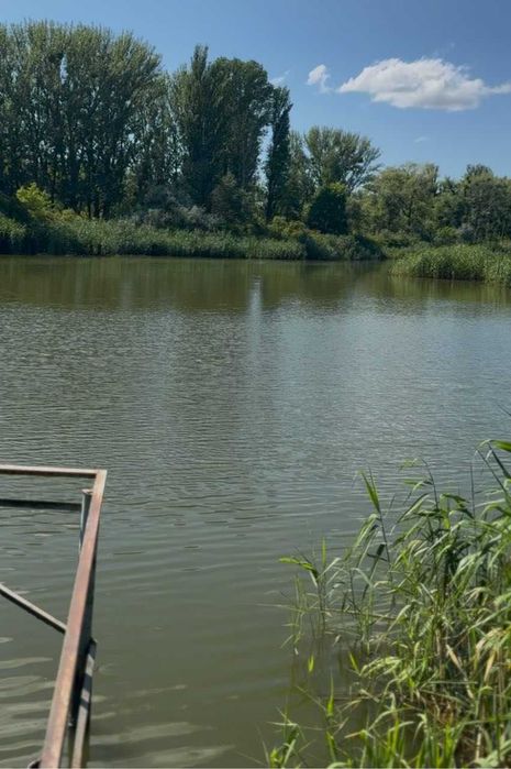 Продаж затишного садового будинок у СТ «Чайка-2» с. Чехівка