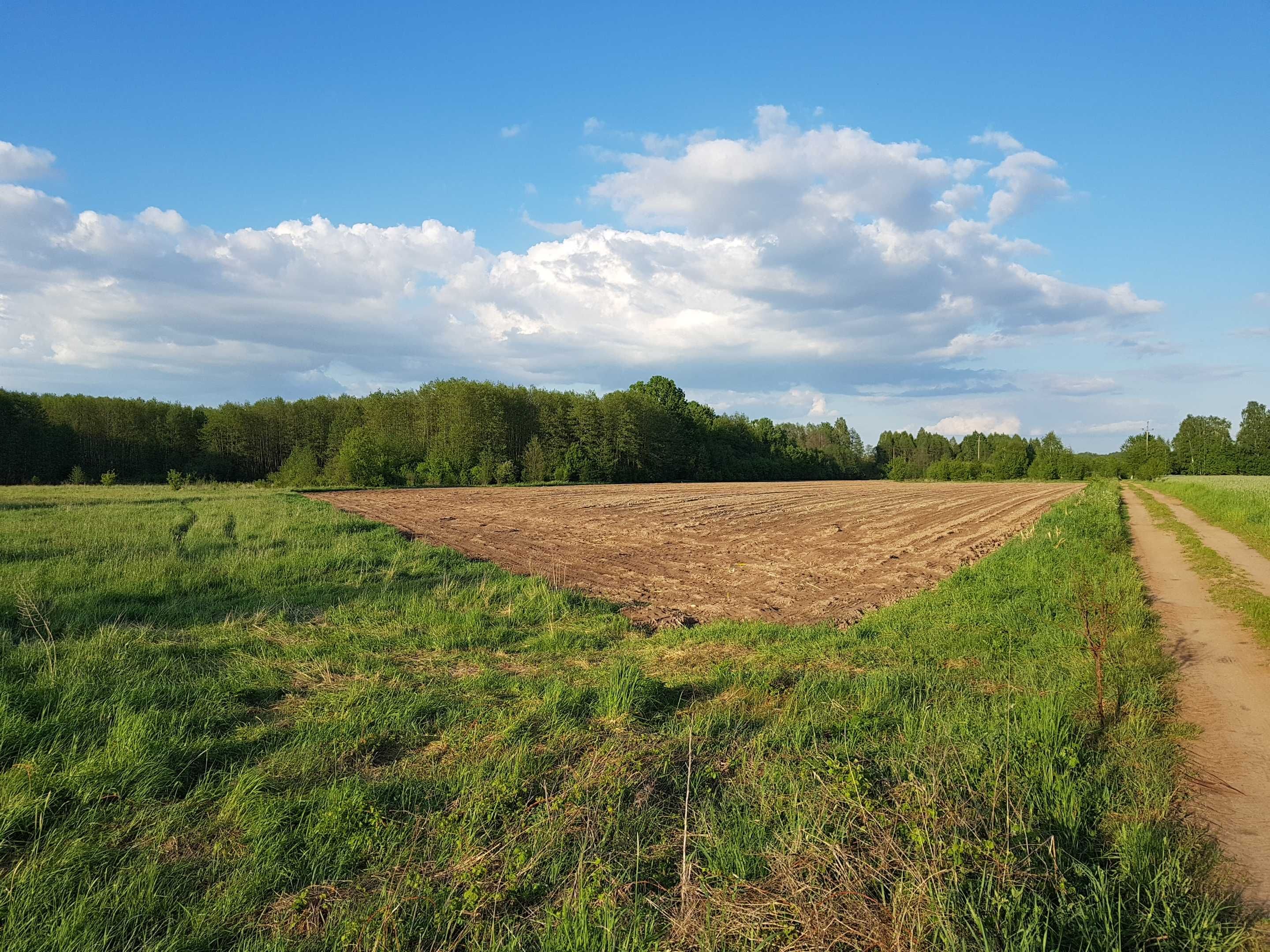Działka budowlana 900 m2, wieś Rajki, na skraju wsi.