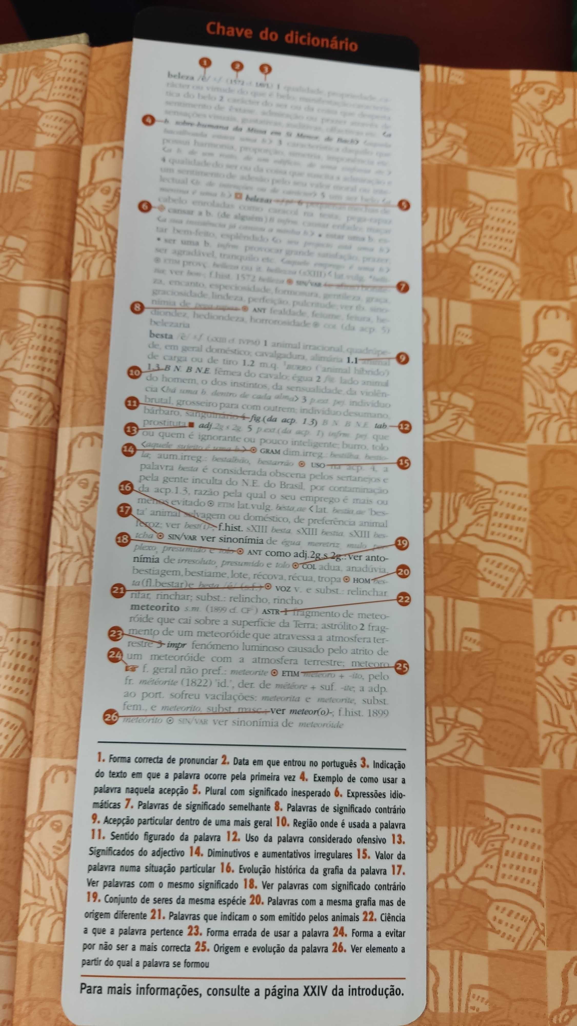 Dicionário Houaiss Língua Portuguesa