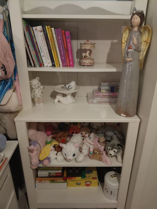 Zestaw mebli, szafa , regał, biurko