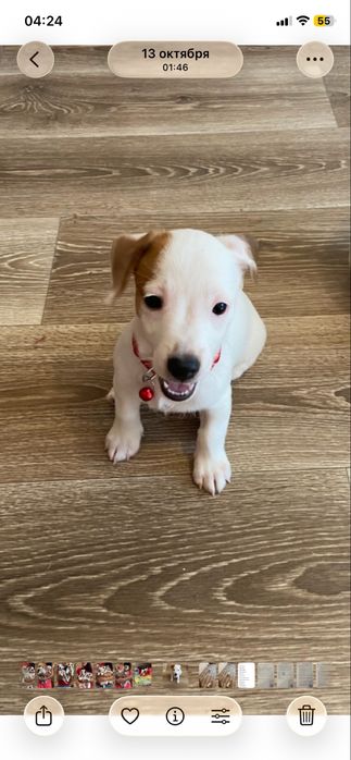 Красивая девочка в любящую семью