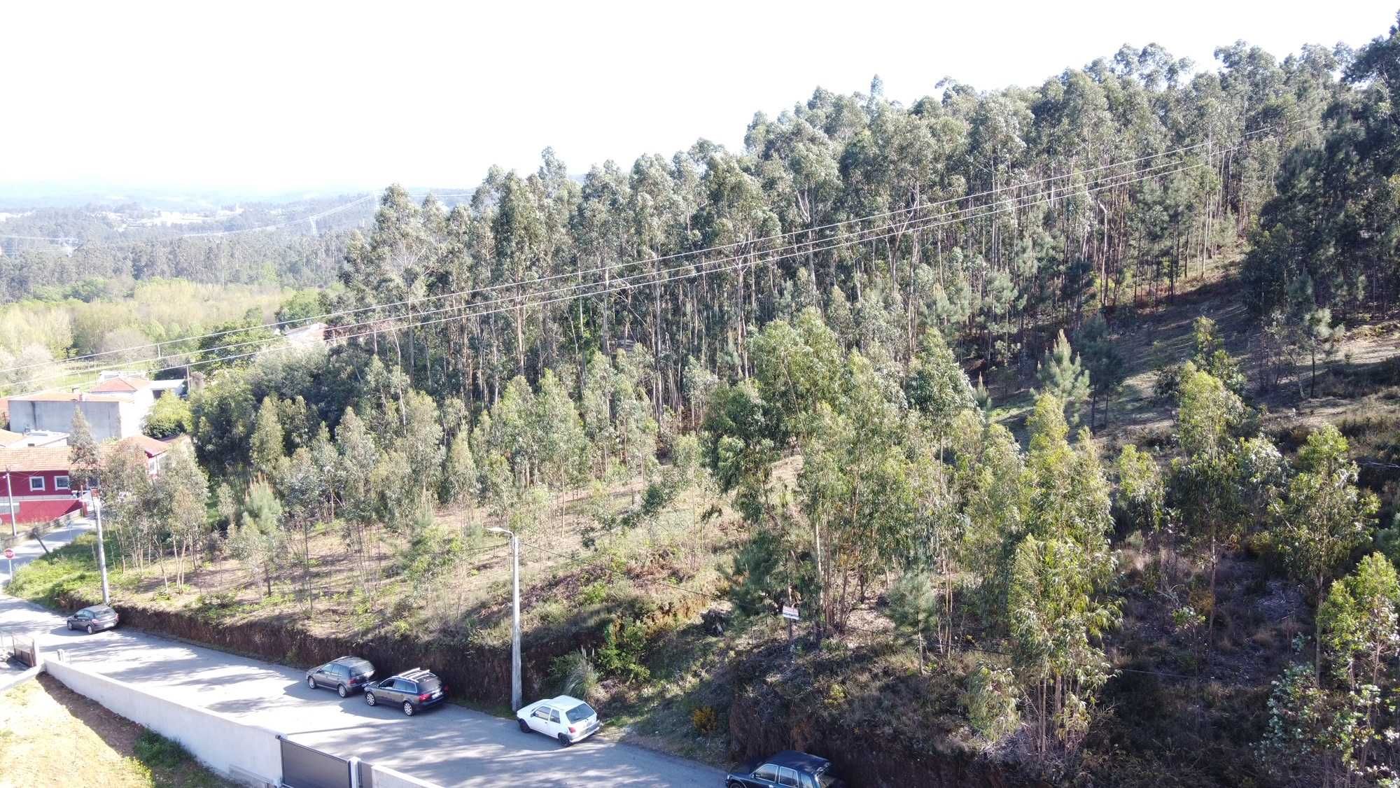 Terreno Urbano Centro Lobao