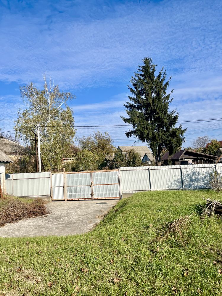 Продаж 12 соток Халепья , Трипілля , Витачів