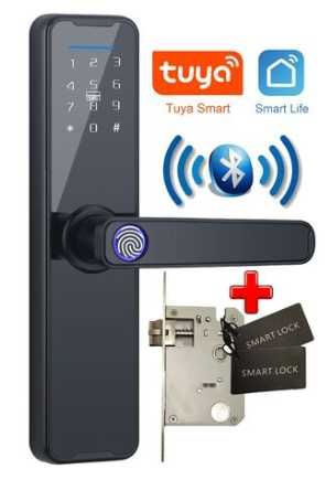 Дверний Замок SMART TUYA сенсором, паролем combination lock