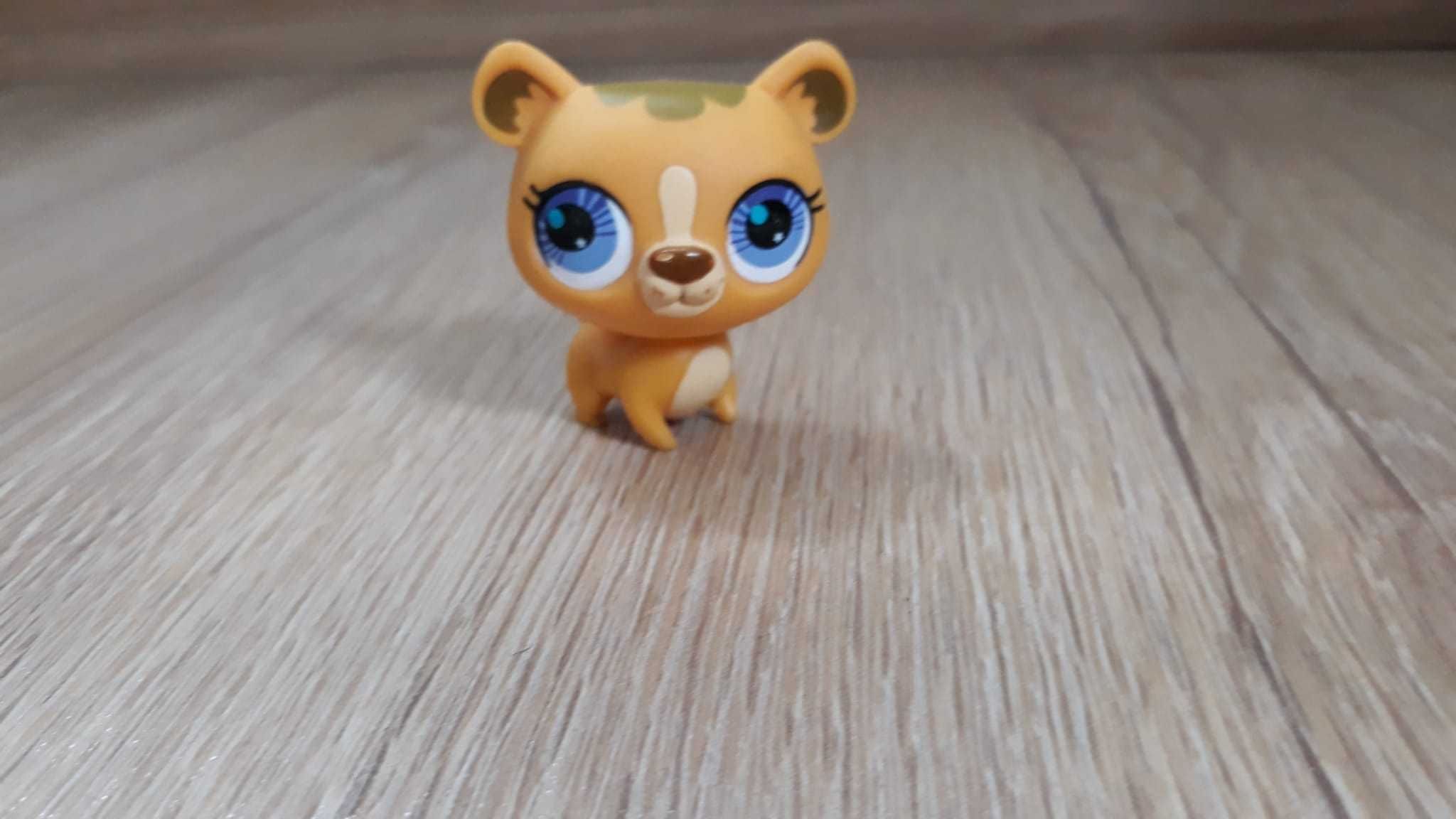 littlest pet shop miś