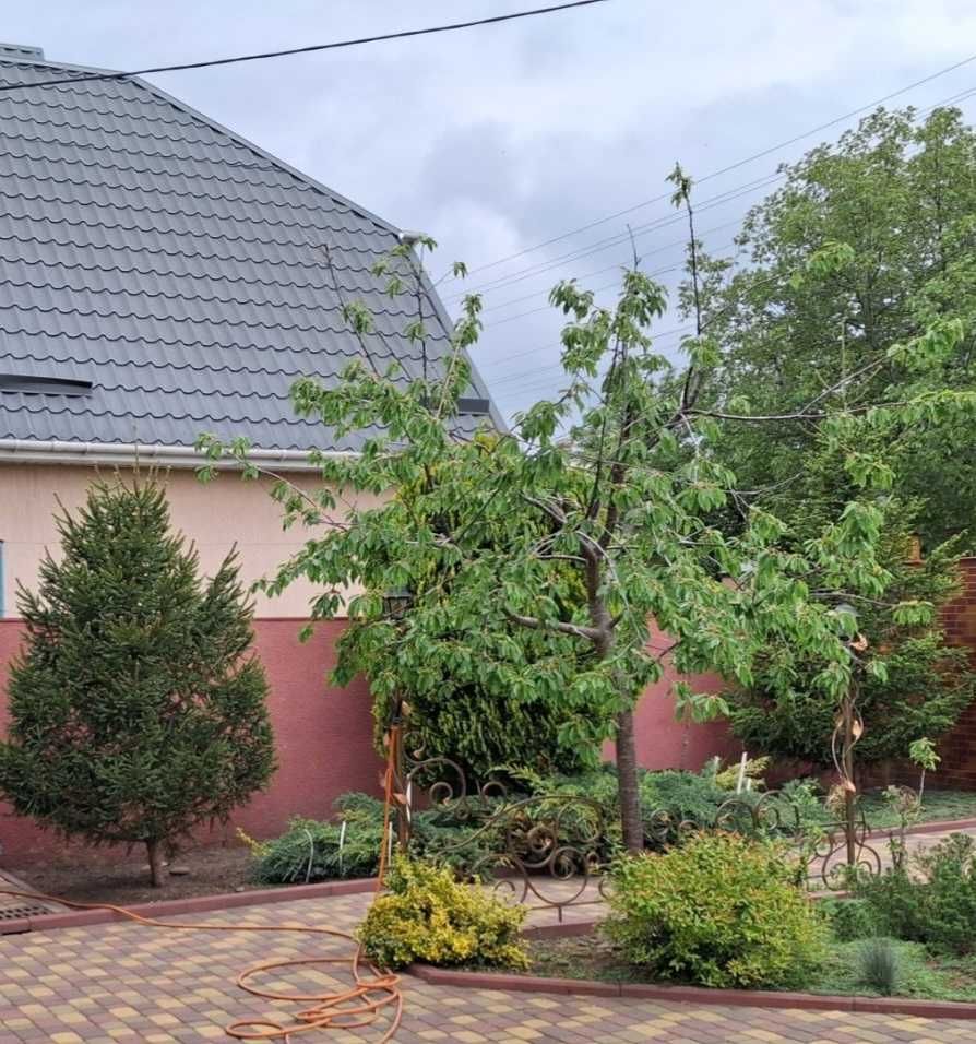 Продаж шикарного будинку, р-н Зеленої.