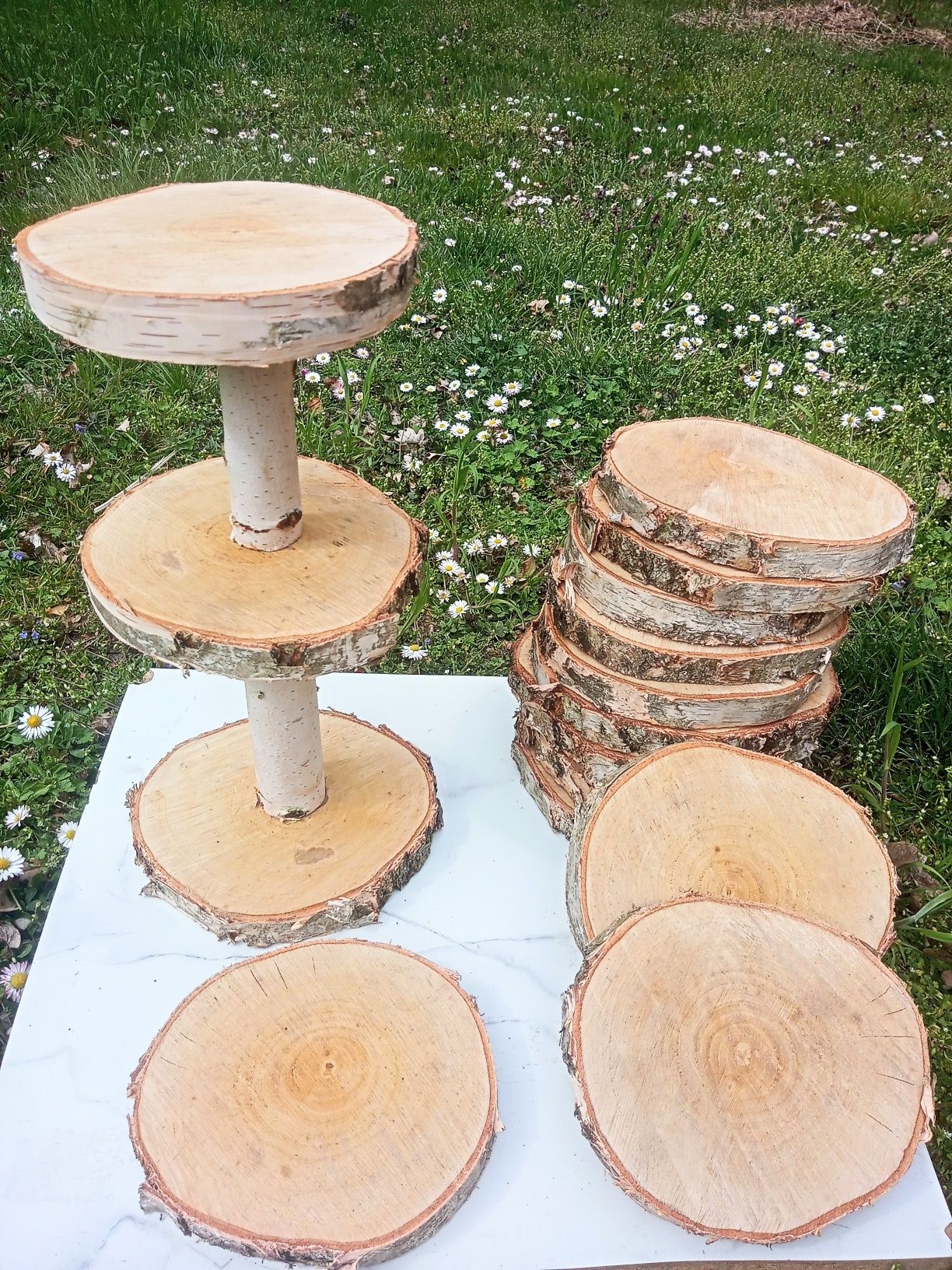 PLASTRY DREWNA Brzoza Sosna 20 SZTUK 20-25cm Krążki Podstawki