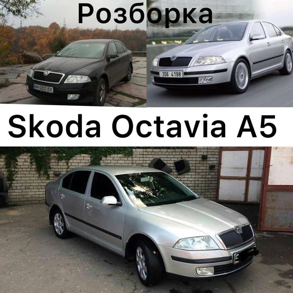 Розборка Skoda Oktavia A5