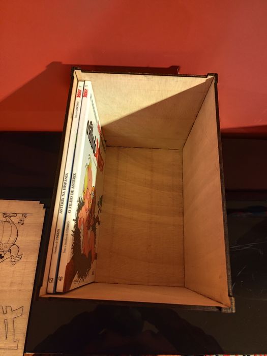 Caixa para coleção de livros Asterix