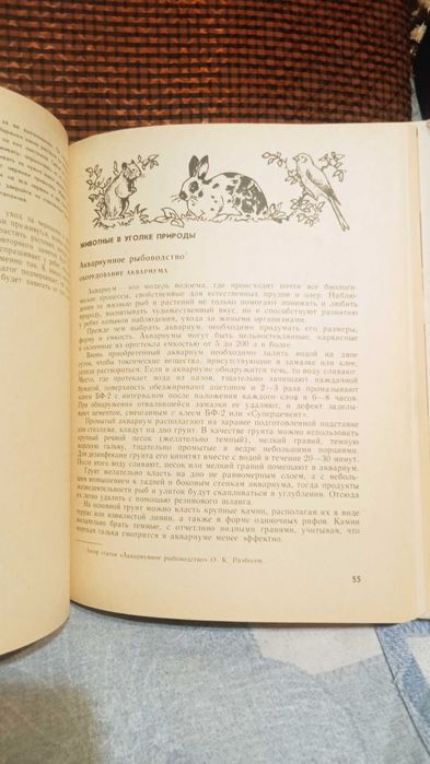 Уголок природы в детском саду.