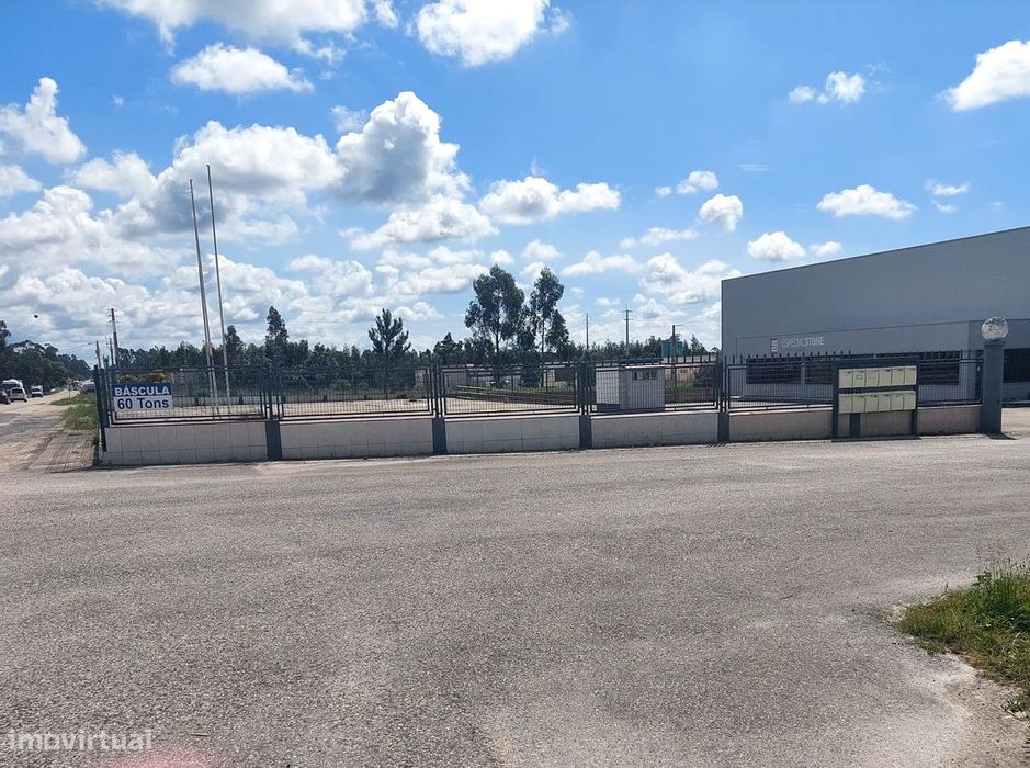 ANG1353 - Terreno para Arrendamento em Ataija de Cima, Aljubarrota