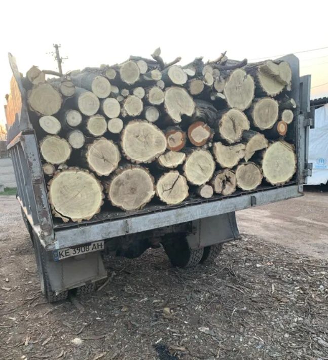 Дрова дубові з ділянки, ціна виробника, опт, роздріб. 3-5-6-10-28.5 м3